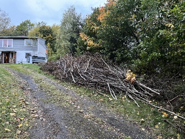 Bortkljøring og kasting av kvisthaug