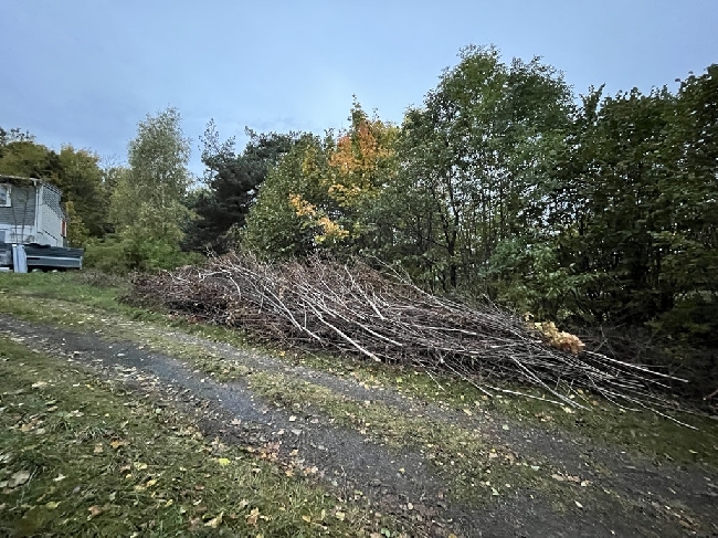 Bortkljøring og kasting av kvisthaug
