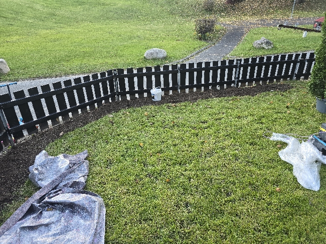 Digging a trench and Planting Thuja