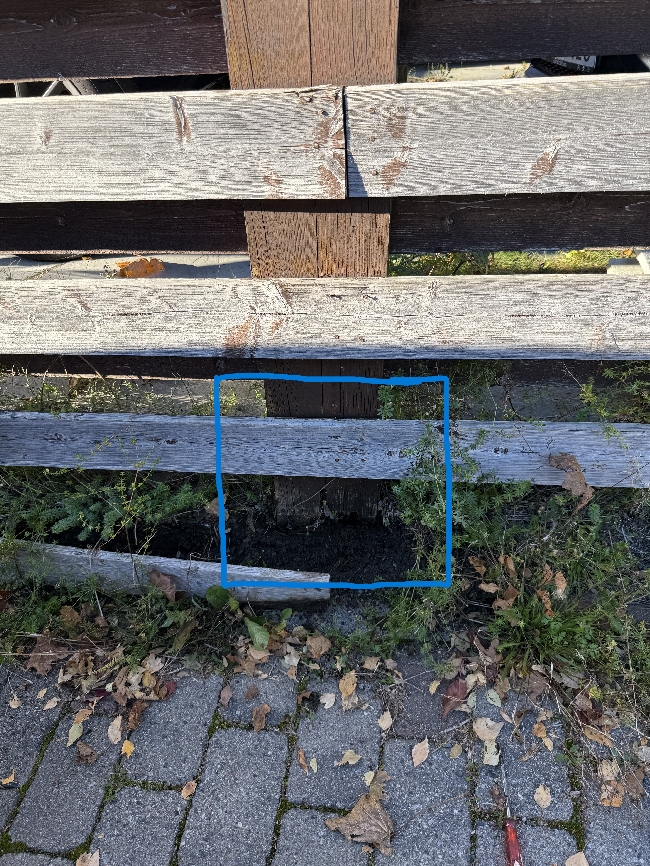 Understøtte trepilarer