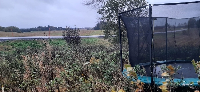 HASTER*FASTPRIS* Trenger hjelp med klipping, bortkjøring og stell av uteområde Enebolig