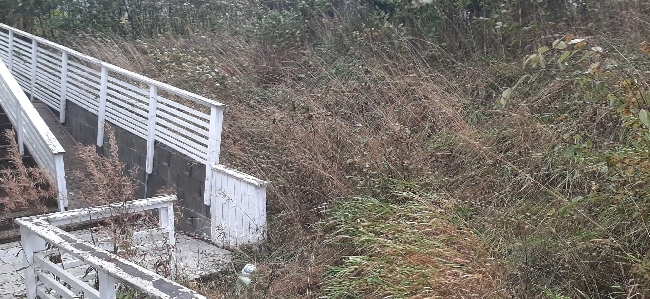 HASTER*FASTPRIS* Trenger hjelp med klipping, bortkjøring og stell av uteområde Enebolig