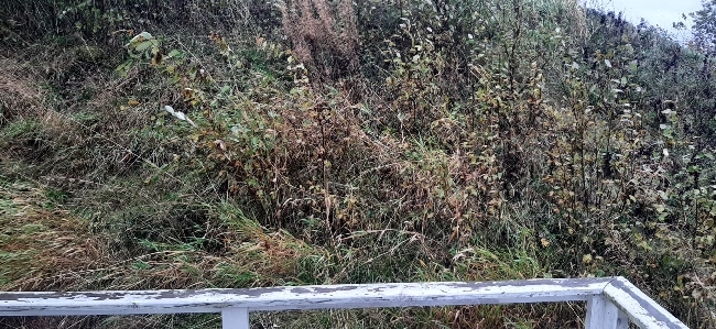 HASTER*FASTPRIS* Trenger hjelp med klipping, bortkjøring og stell av uteområde Enebolig