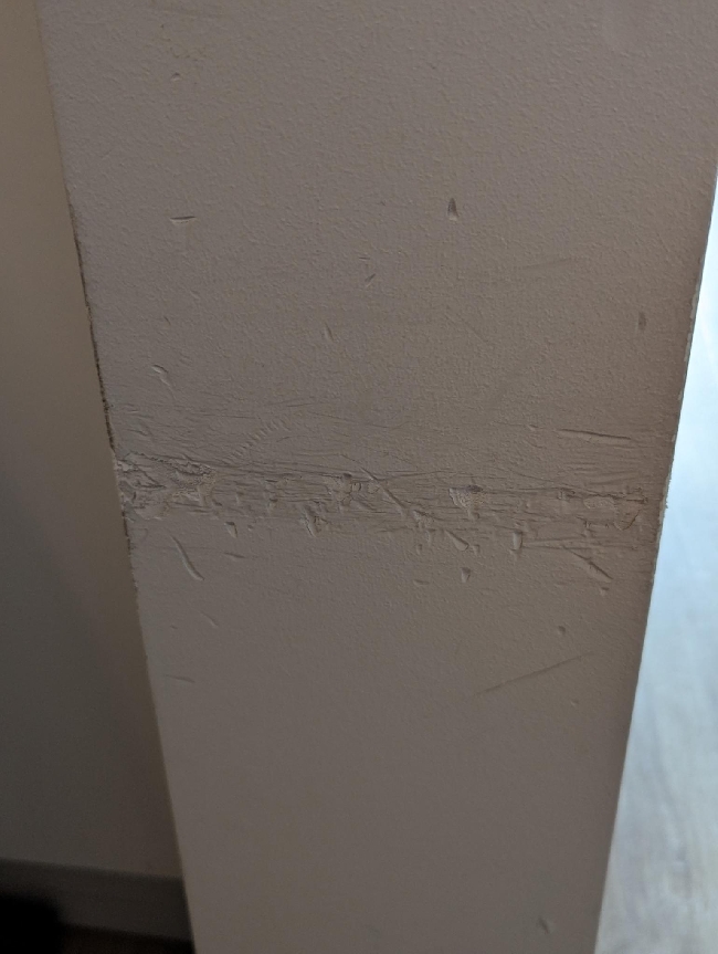 Liten malejobb – sentralt i Oslo