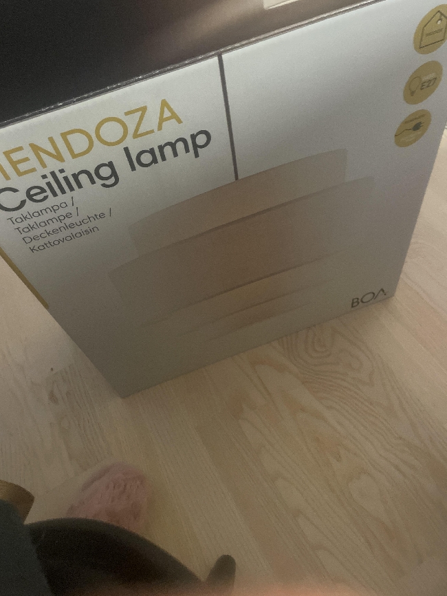 Trenger hjelp med taklampa