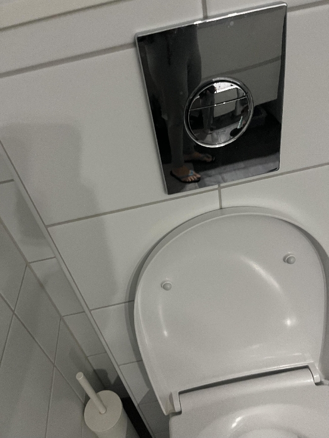 Need fixing of small flush button in toilet