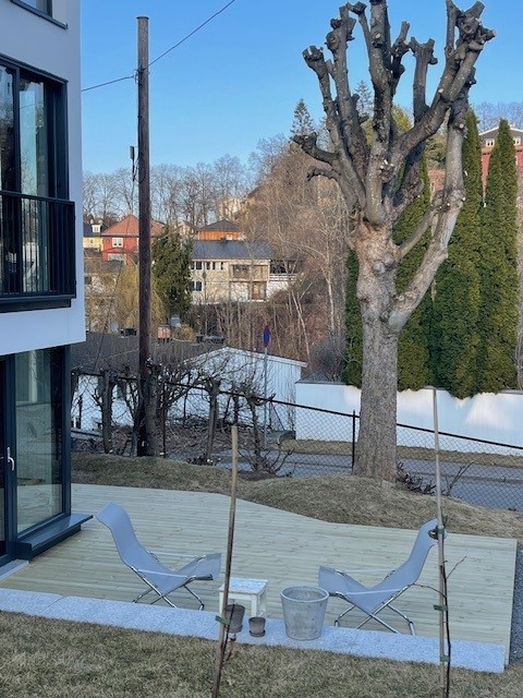 Klippe ned grener i tre