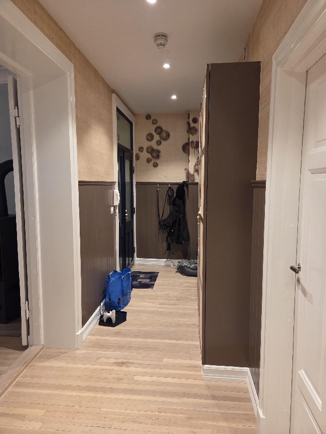 Maling og gips til stue + hall + kjeller