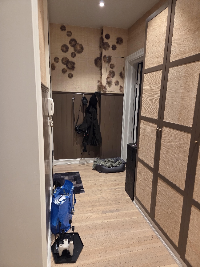 Maling og gips til stue + hall + kjeller