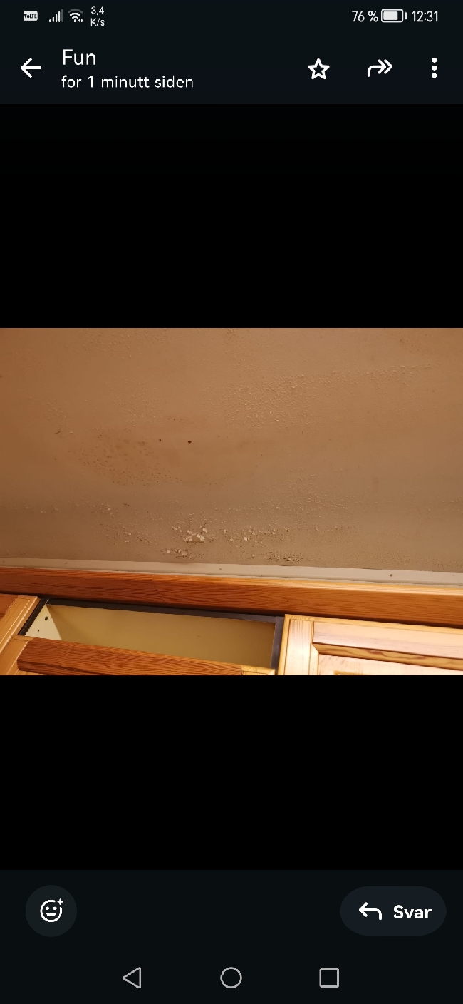 Trenger hjelp til å male taket til kjøkken 6