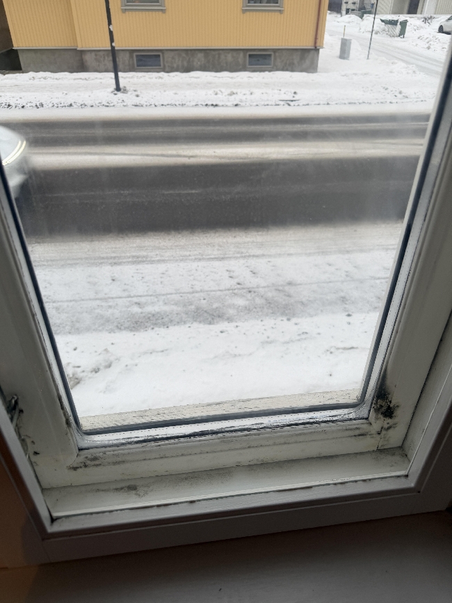 Vaske bort mugg fra to vinduer