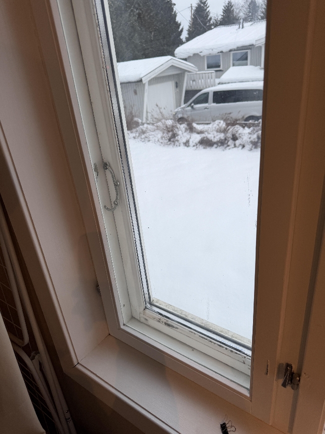 Vaske bort mugg fra to vinduer