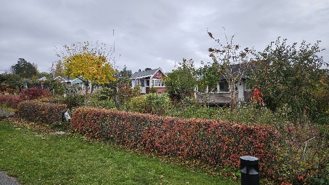 Hjelp med å etablere og stelle hage