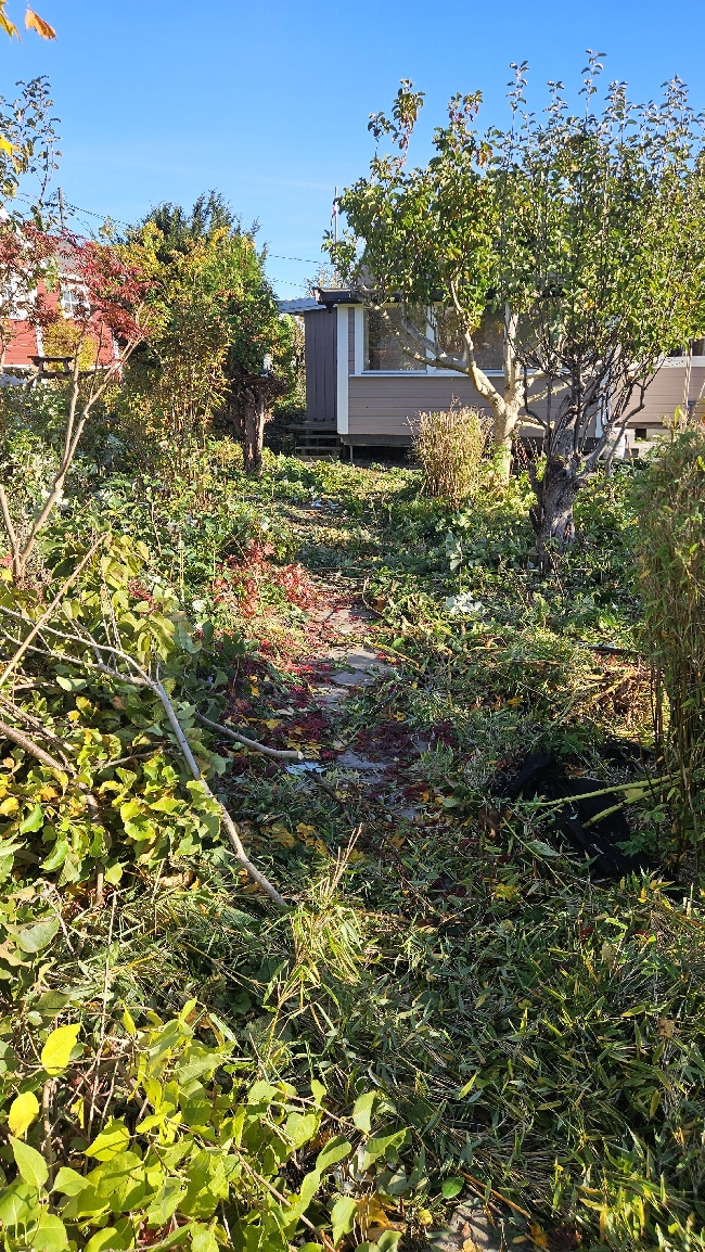 Hjelp med å etablere og stelle hage