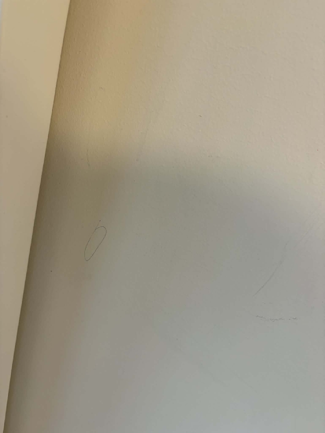 Vaskehjelp – fjerning av mindre pennemerker på én veggpanel samt rengjøring av takventil (overflate, synlig støv)