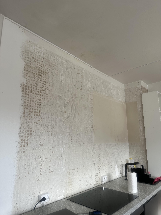 Feste gipsplater og sparkle