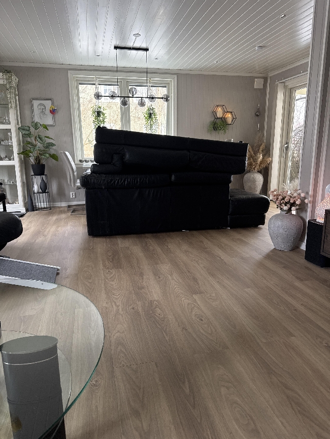 Kasting av sofa og papp