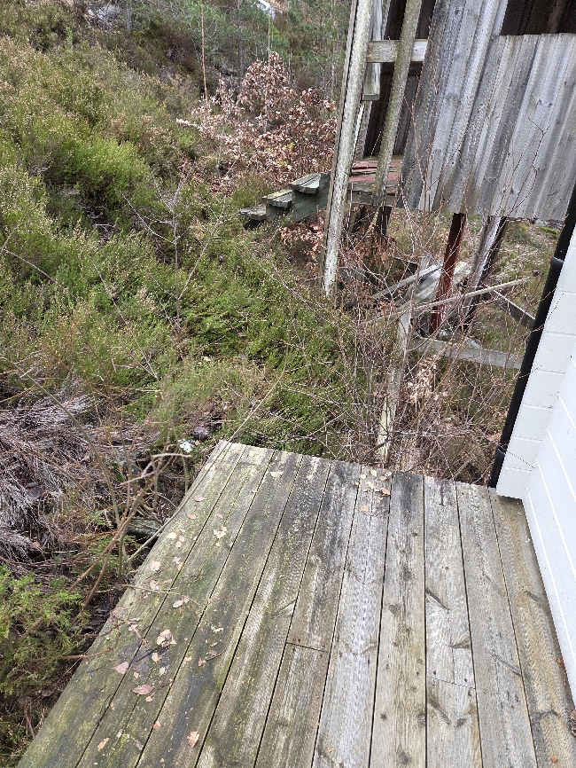 kutte, rydde, fjerne treskudd, busker og kratt på skrå hyttetomt