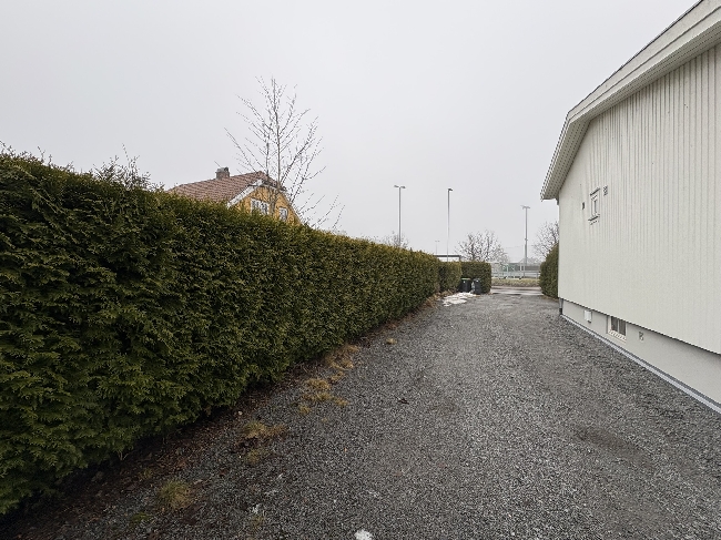 Hekklipp (ca. 40-50m) inkl. bortkjøring av avfall i Skien