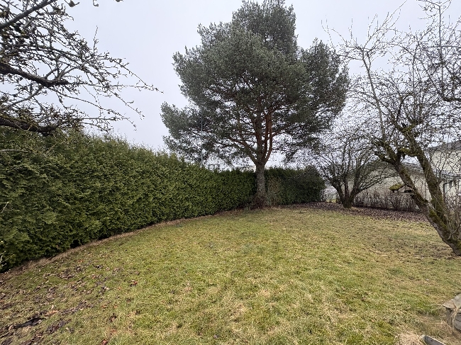 Hekklipp (ca. 40-50m) inkl. bortkjøring av avfall i Skien