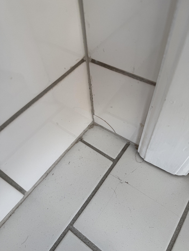 Lime/ fuge løse fliser og skifte en flis på bad