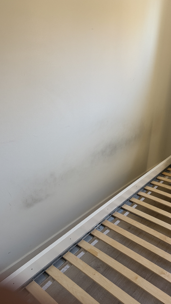 Painting an indoor wall after masking