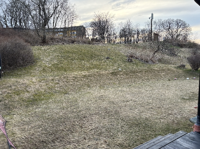 Raking av plen og bortkjøring av søppel/hageavfall