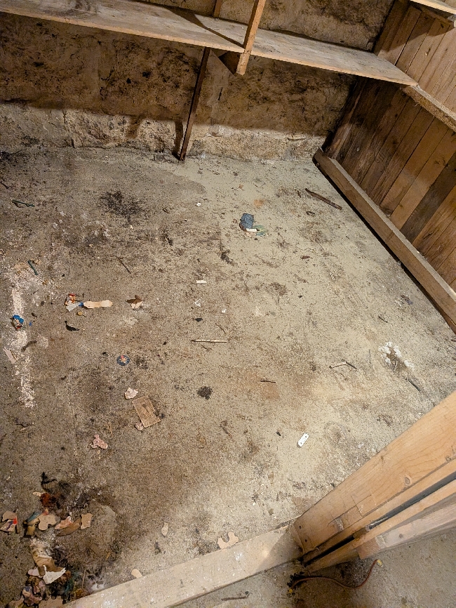 Soping og støvsuging av Grovkjeller