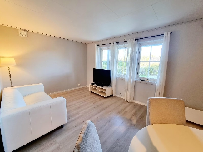 Maling av leilighet (40 kvm) etter luktfjerning / overflatebehandling