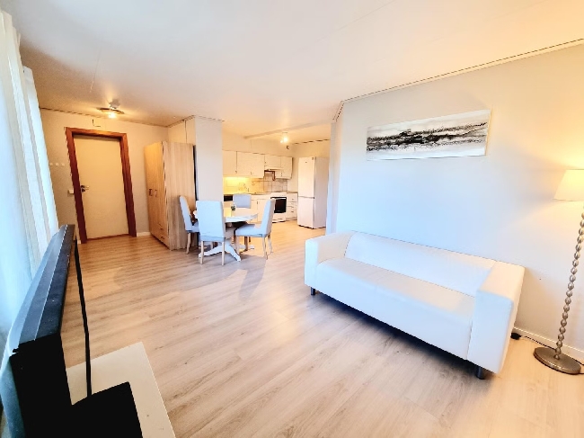 Maling av leilighet (40 kvm) etter luktfjerning / overflatebehandling