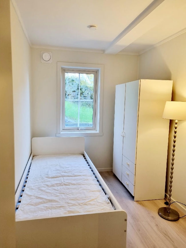 Maling av leilighet (40 kvm) etter luktfjerning / overflatebehandling