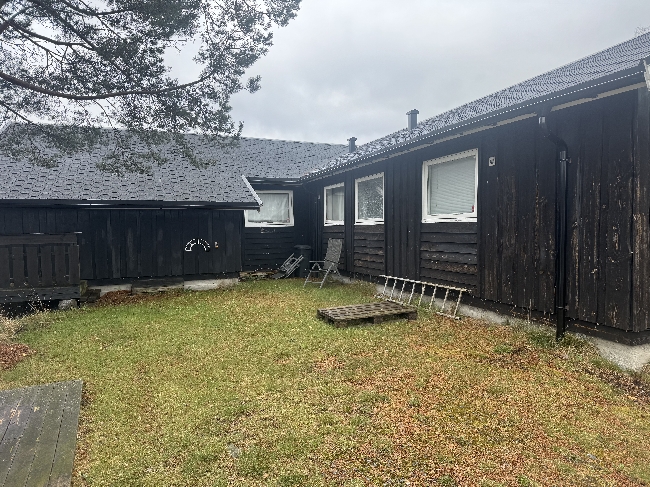 Beising av hyttevegger + rengjøring av terrasser og beis