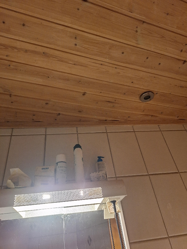 Ønsker en som kan med elektrisk.