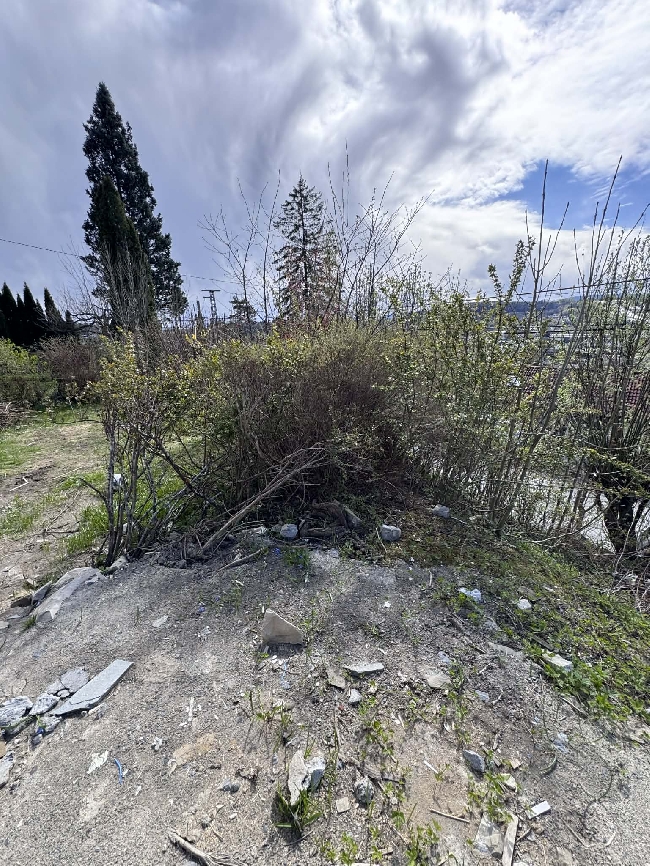 Klargjøring av hage for å legge plen