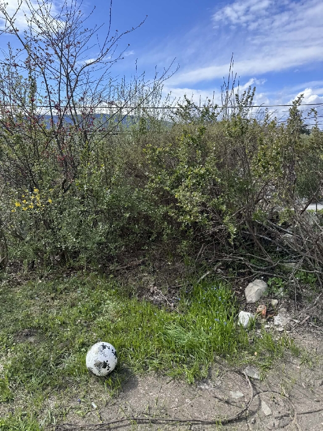 Klargjøring av hage for å legge plen