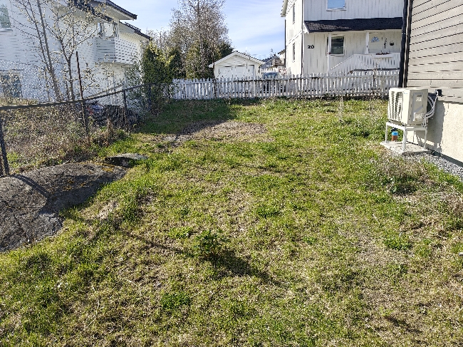 Hagearbeid ønskes – rydding og forbedring av plen