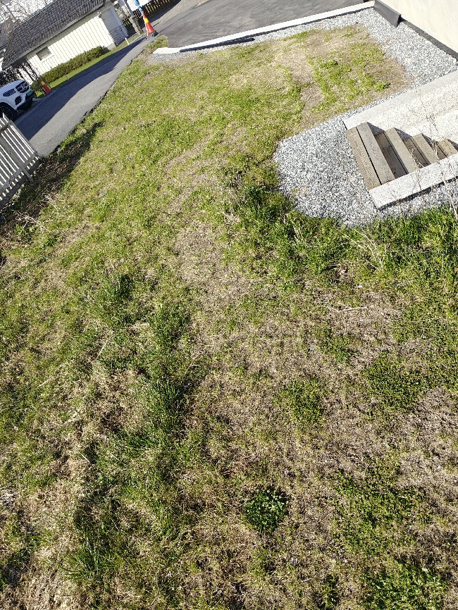 Hagearbeid ønskes – rydding og forbedring av plen