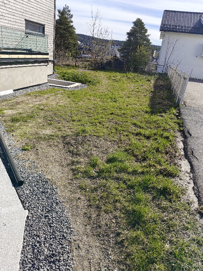 Hagearbeid ønskes – rydding og forbedring av plen