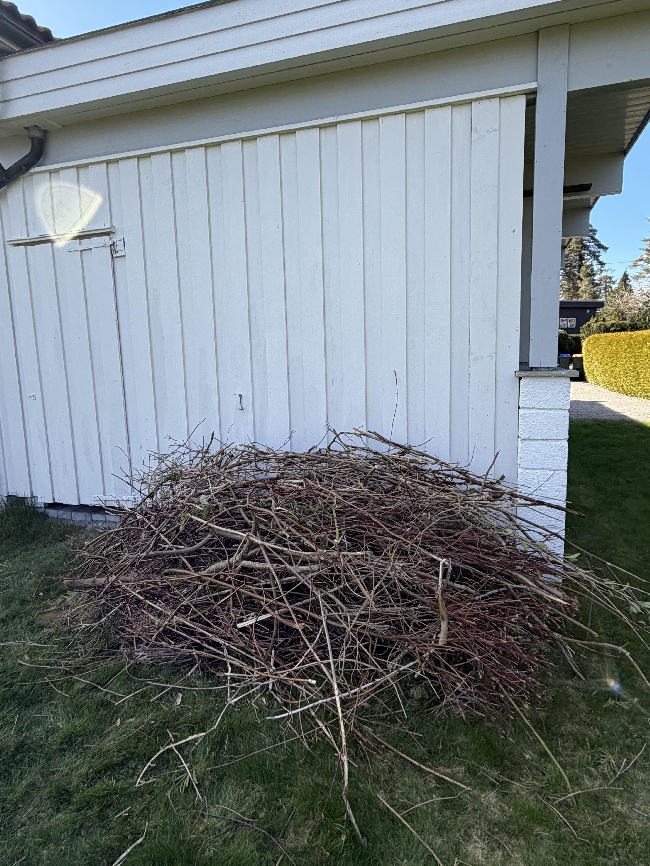 Bortkjøring kvist/greiner