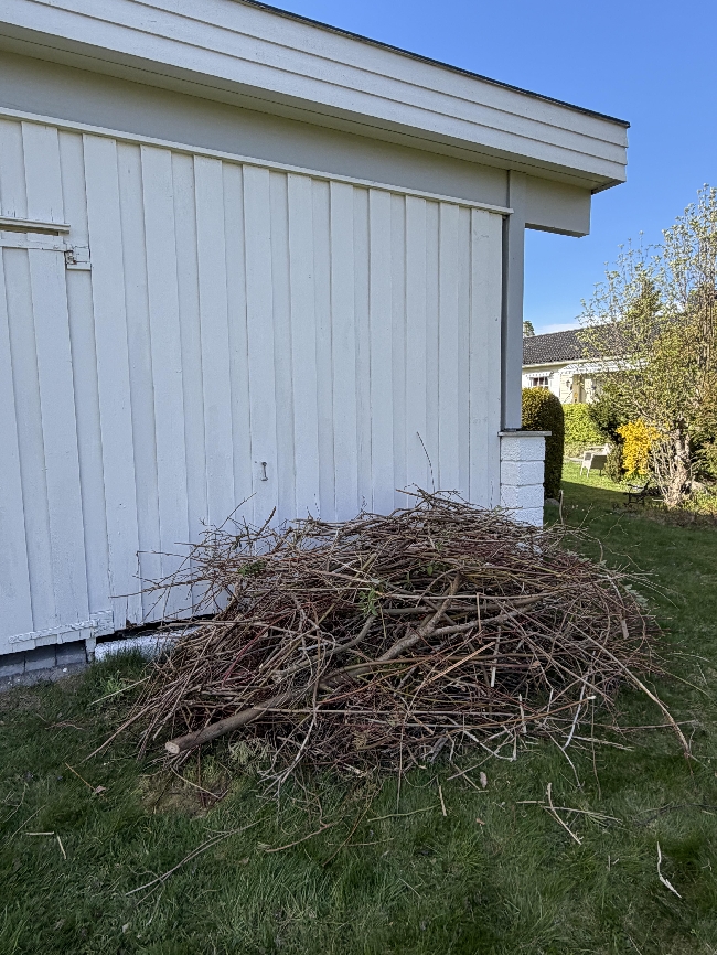 Bortkjøring kvist/greiner