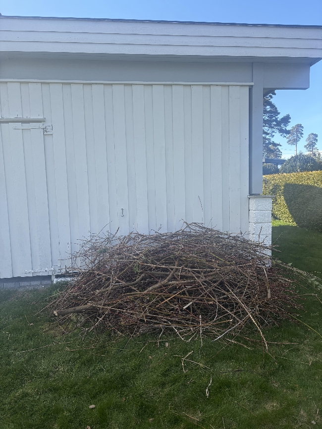 Bortkjøring kvist/greiner