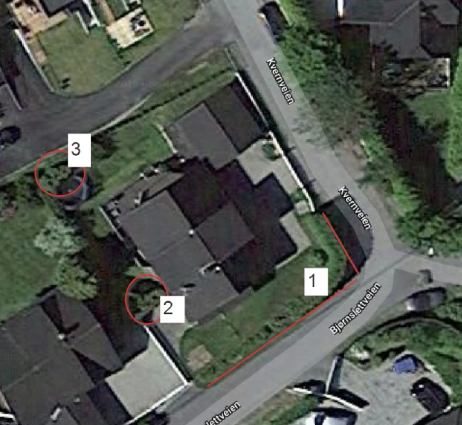 Klipp og beskjæring av tujahekker