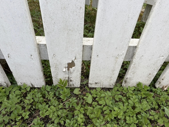 Maling av stakittgjerde og vinduskarmer