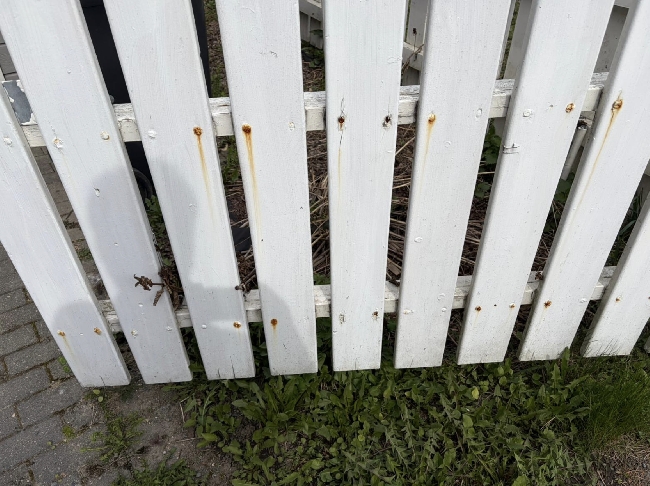 Maling av stakittgjerde og vinduskarmer