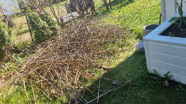 Bortkjøring av hageavfall