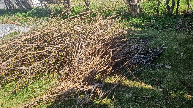 Bortkjøring av hageavfall