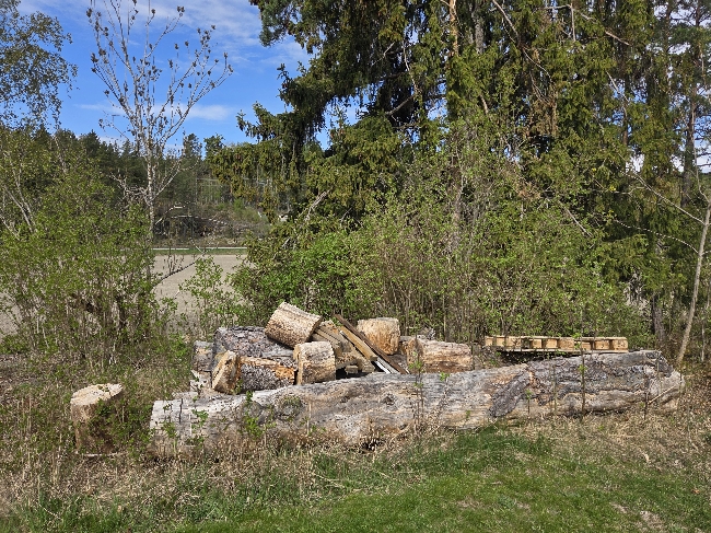 Rydde i hagen