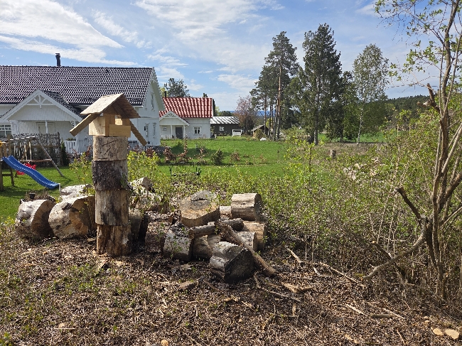 Rydde i hagen