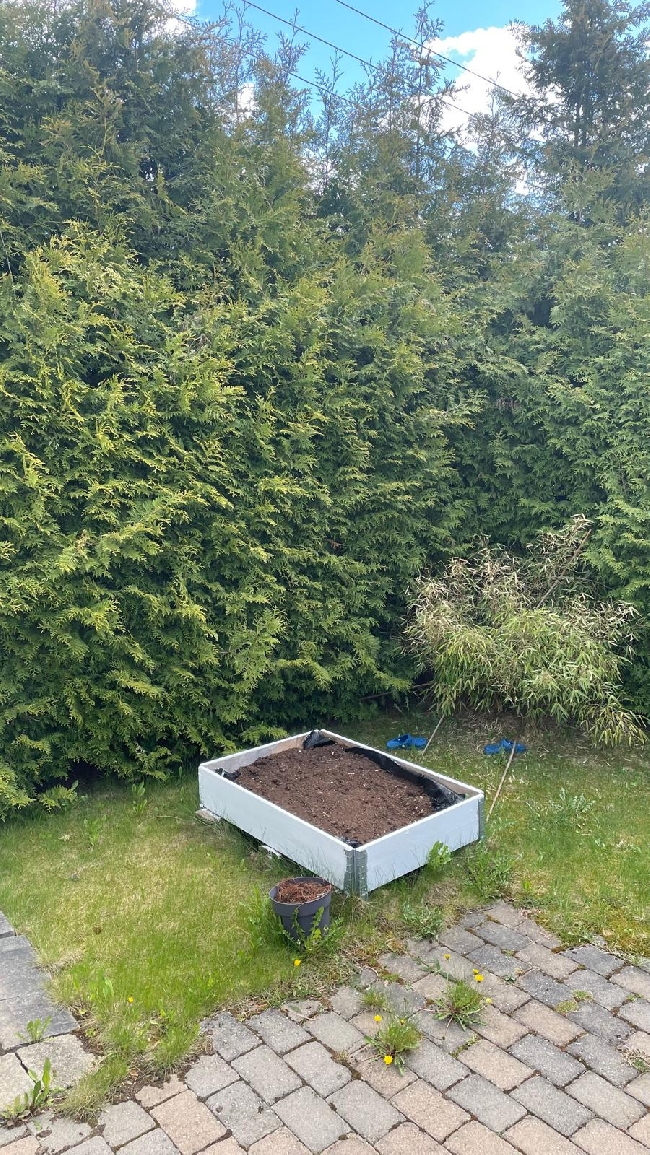 Garden Cleaning &amp; Maintenance Help Needed