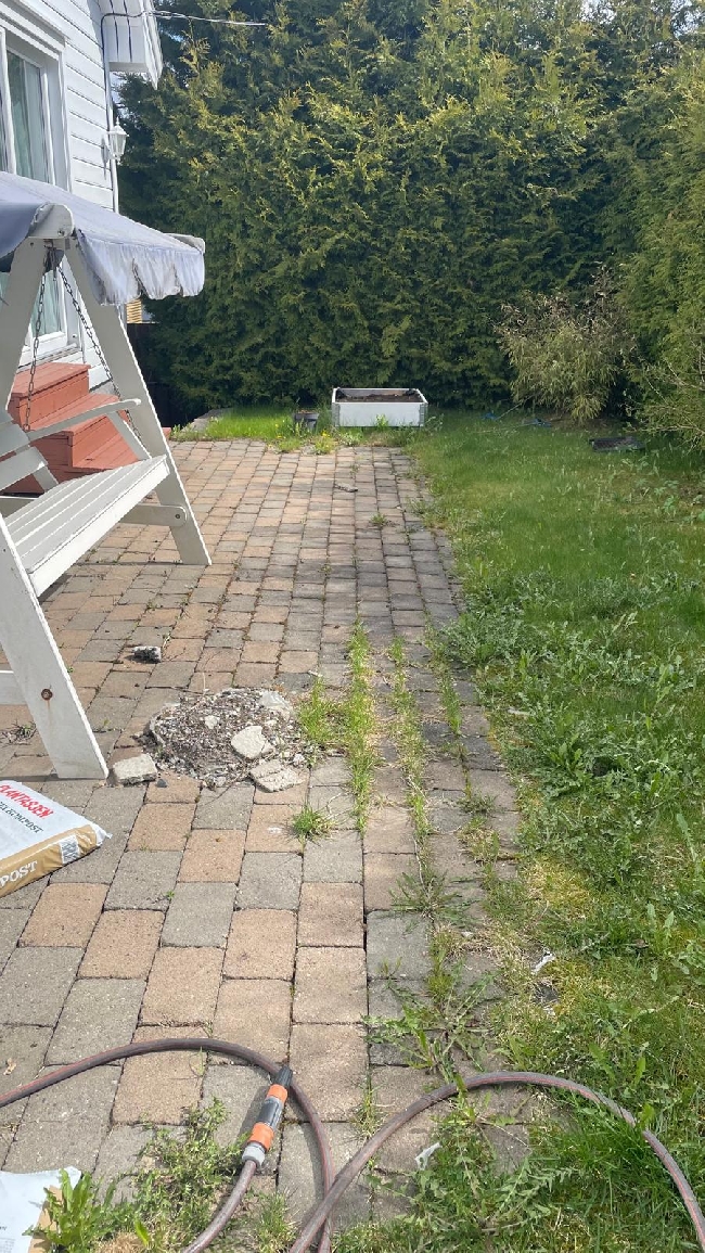 Garden Cleaning &amp; Maintenance Help Needed